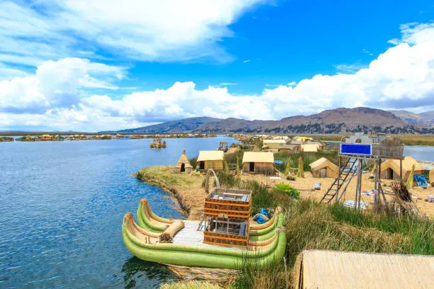 CAPI LOS UROS